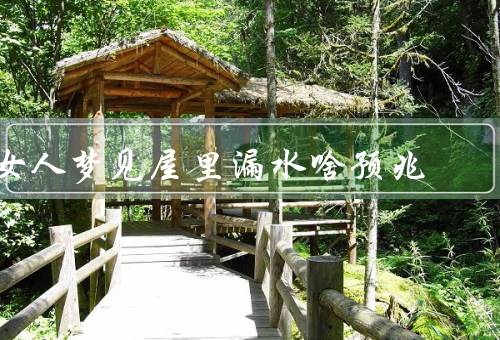 女人梦见屋里漏水啥预兆（情感关系不稳定／面临困境）