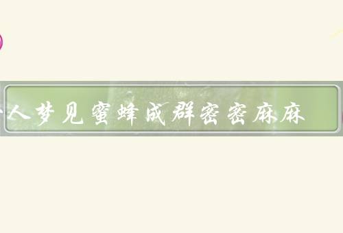 女人梦见蜜蜂成群密密麻麻，蜜蜂带来的威胁／复杂的情况