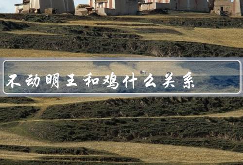 不动明王和鸡什么关系（与的共同象征意义／信仰中的角色）