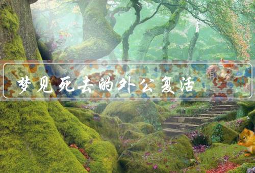 梦见死去的外公复活，变故的世界／与外公的重逢／梦醒之后