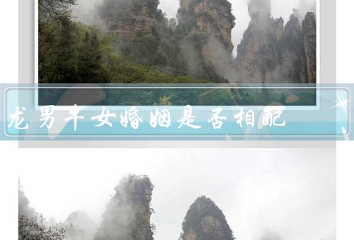 龙男牛女婚姻是否相配（吸引与互补／性格差异与磨合）