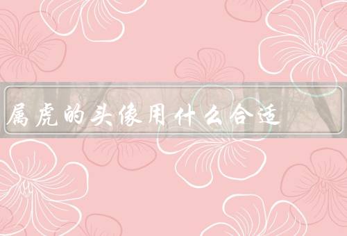 属虎的头像用什么合适，自然风景／猛虎形象／与动物互动