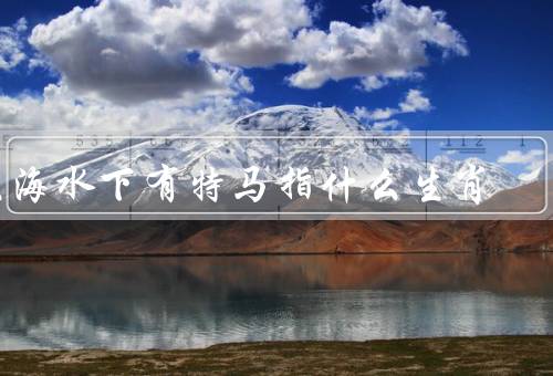 大海水下有特马指什么生肖，海龟／鲨鱼／海豚