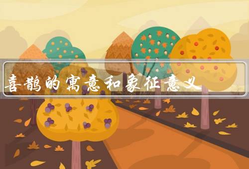 喜鹊的寓意和象征意义（婚姻／季节／吉祥）