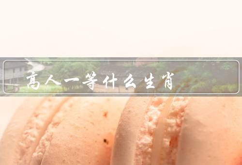 高人一等什么生肖（龙／马／鼠）