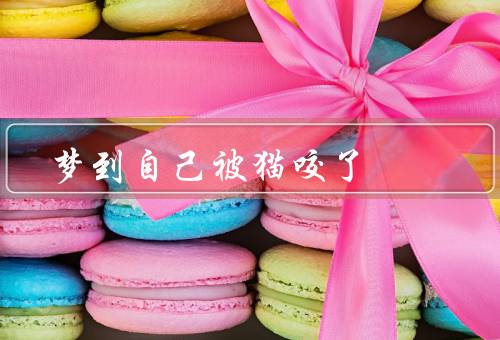 梦到自己被猫咬了，咬的痛感、象征意义、解读与启示