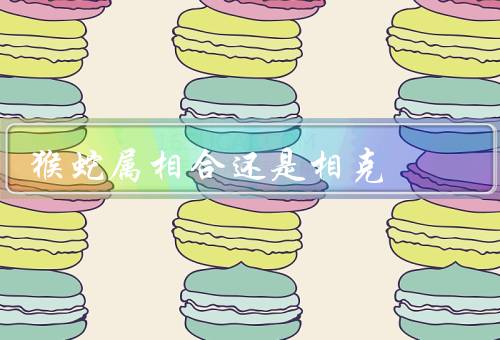 猴蛇属相合还是相克，理论依据／影响／应对策略