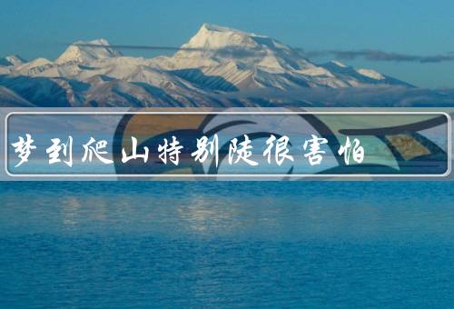 梦到爬山特别陡很害怕（恐惧的开始／惊险的攀爬／渐渐适应）