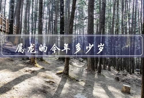 属龙的今年多少岁（多少岁／运势如何／总结）