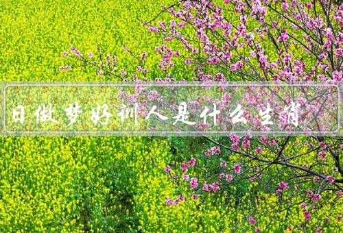 白日做梦好训人是什么生肖，人多梦境丰富、人善于解梦