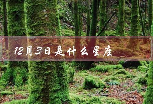 12月3日是什么星座，射手座特点／特点／适合职业