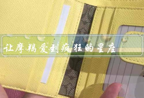 让摩羯爱到疯狂的星座，摩羯座的特点／让摩羯座爱到疯狂的方法