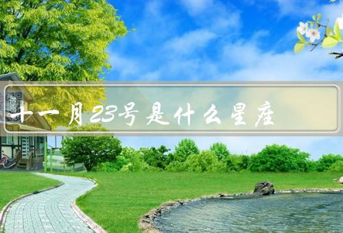 十一月23号是什么星座，特点／人际关系／爱情观