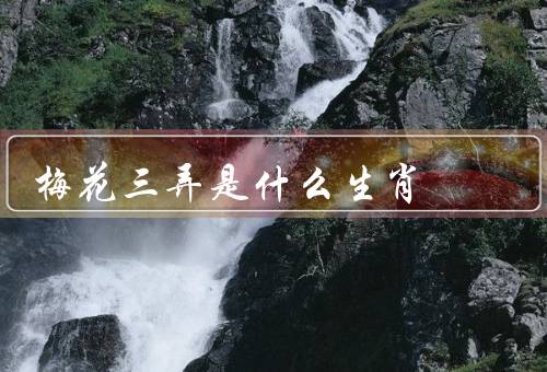 梅花三弄是什么生肖，梅花三弄、与猪的象征、流传与影响