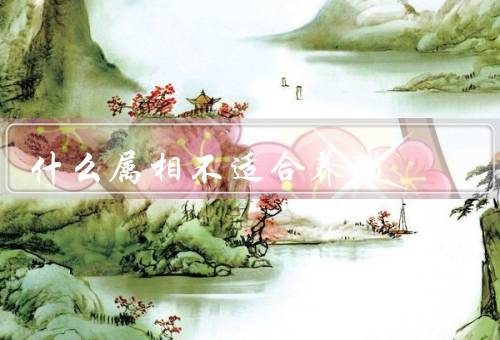 什么属相不适合养猫（虎、猴、龙）