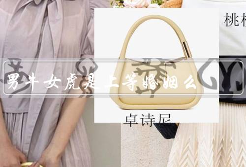 男牛女虎是上等婚姻么（优势互补、相互支持、相互包容）
