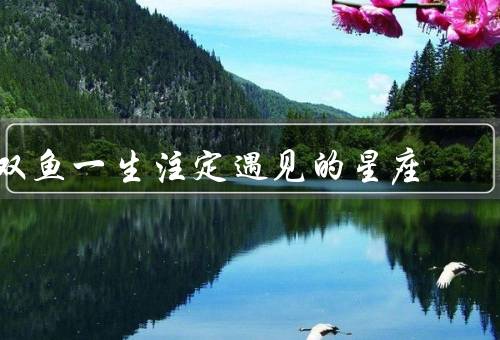 双鱼一生注定遇见的星座（巨蟹座的相遇／天蝎座的相遇）