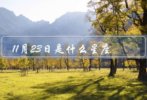 11月23日是什么星座，特点、个性、爱情与事业