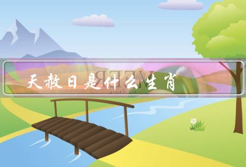 天赦日是什么生肖，鼠年天赦日、牛年天赦日、虎年天赦日