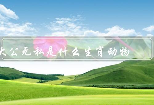 大公无私是什么生肖动物