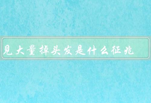 梦见大量掉头发是什么征兆（心理压力、健康问题、焦虑情绪）