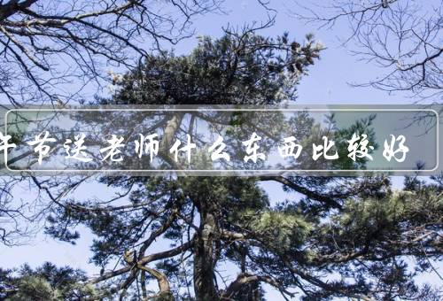 端午节送老师什么东西比较好（实用性／文化内涵／创意性）