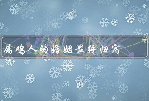 属鸡人的婚姻最终归宿，聪明才智／勤奋努力／忠诚守信