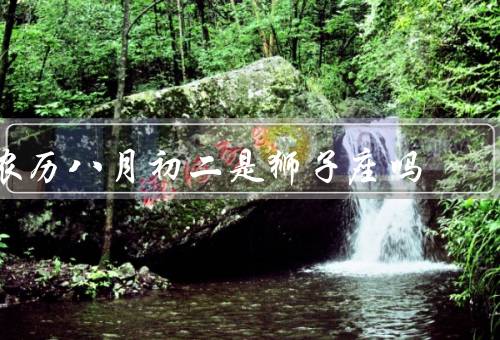 农历八月初二是狮子座吗（狮子座的特点／农历八月初二的意义）