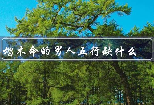 石榴木命的男人五行缺什么，能量、补救方法、总结