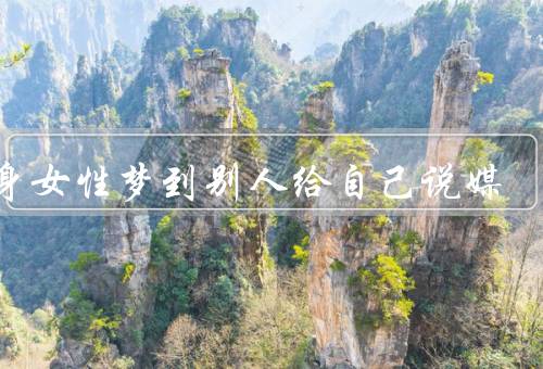 单身女性梦到别人给自己说媒（焦虑／期望／自我反思）