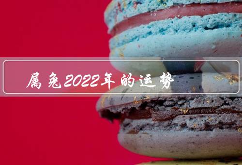 属兔2022年的运势，事业运势／财运／感情运势