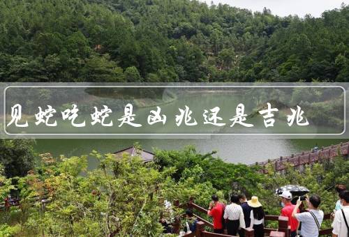 看见蛇吃蛇是凶兆还是吉兆（象征意义、解读、个人信仰和文化影响）