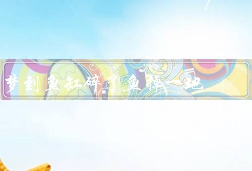 梦到鱼缸碎了鱼掉一地，梦境的开始／失落的感觉／重建与成长