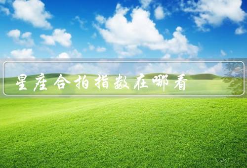 星座合拍指数在哪看