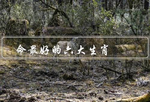 命最好的六大生肖，鼠／马／龙