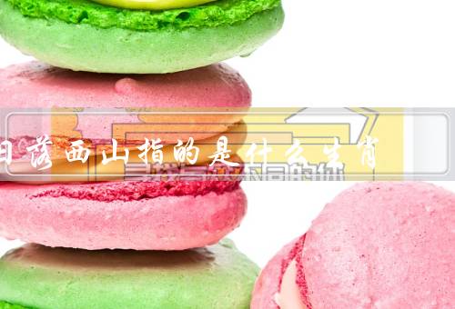 日落西山指的是什么生肖（生肖属狗的特点、日落西山的寓意）