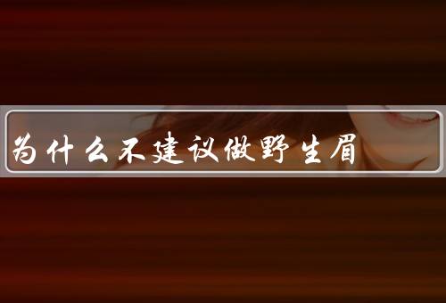 为什么不建议做野生眉，与脸型搭配／与妆容搭配／容易显得邋遢