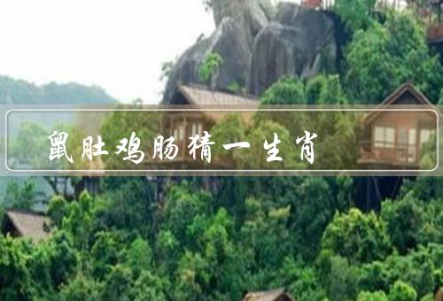 鼠肚鸡肠猜一生肖，由来、如何玩、乐趣