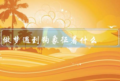 做梦遇到狗象征着什么，忠诚和友谊、守护和保护