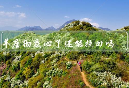 白羊座彻底死心了还能挽回吗，彻底死心了还能挽回吗／追求新鲜刺激