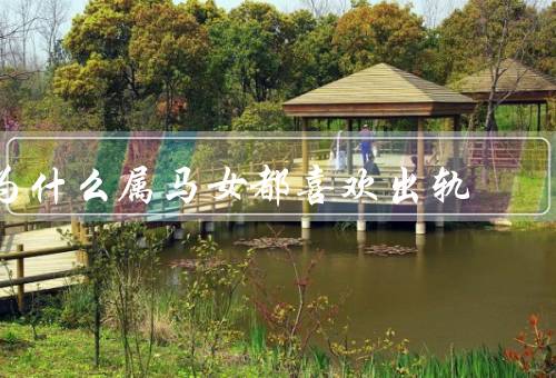 为什么属马女都喜欢出轨（属马女性格特点、感情的不满足）