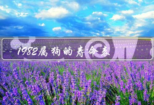 1982属狗的寿命表（属狗的特点／长寿的属狗／短寿的属狗）