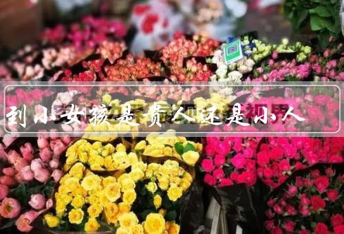 梦到小女孩是贵人还是小人（形象／行为／意义）