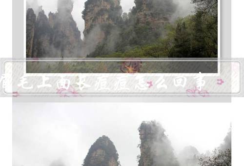 眉毛上面长痘痘怎么回事，皮脂腺分泌过多／化妆品过敏