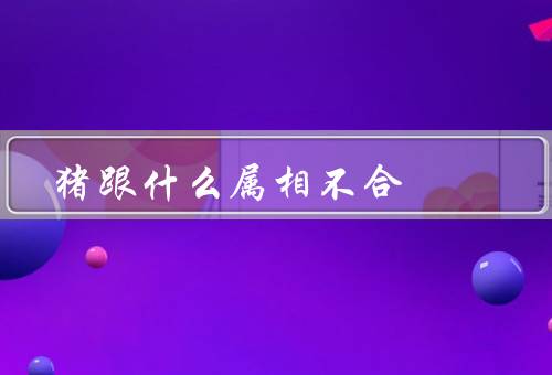 猪跟什么属相不合（鼠／蛇／猴）