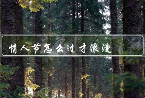 情人节怎么过才浪漫（送礼物／安排活动／创造浪漫氛围）