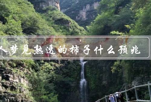 女人梦见熟透的柿子什么预兆，丰收、爱情的到来、健康和幸福