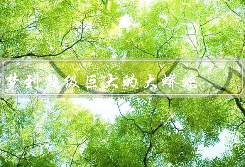 梦到超级巨大的大蟒蛇（巨大的身躯／惊人的力量／神秘而迷人）