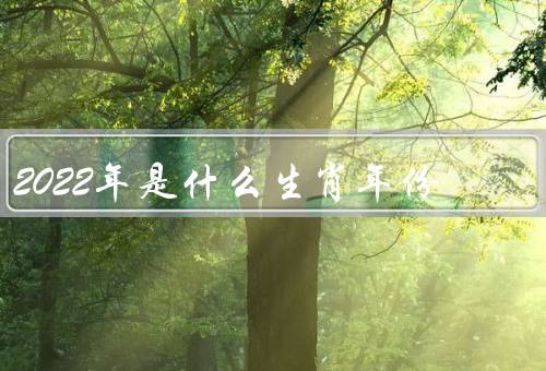 2022年是什么生肖年份（生肖为什么重要）