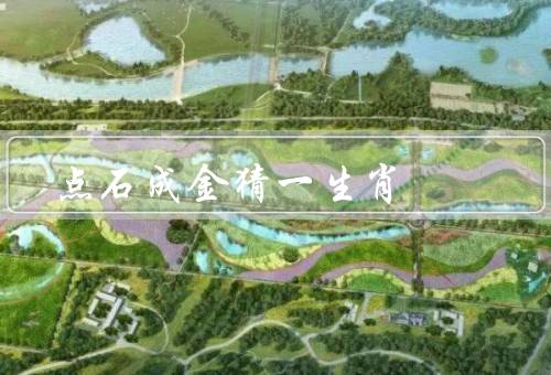 点石成金猜一生肖（起源、规则、乐趣）